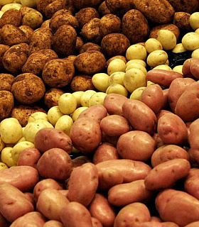 Продается картофель +5 от 10 тонн. Урожай 2017г.