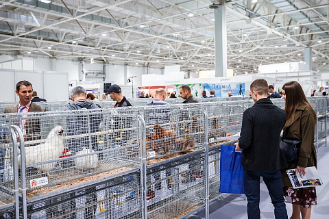 Выставка «ФермаЭкспо Краснодар 2019» – современное оборудование и материалы, новые бизнес-идеи для прибыльного животноводства, птицеводства и аквакультуры
