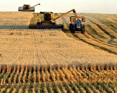 Угроза убытков: Почему прибыльные хозяйства в сельском секторе сокращаются?